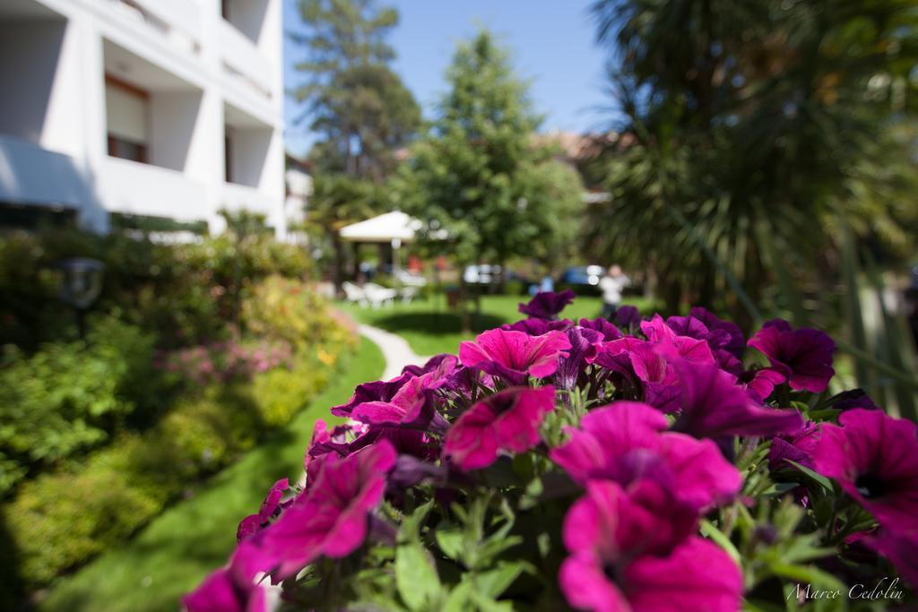 Hotel Mar Del Plata Grado Eksteriør billede
